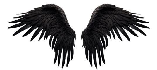 Pair of black wings, cut out