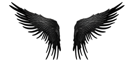 Pair of black wings, cut out