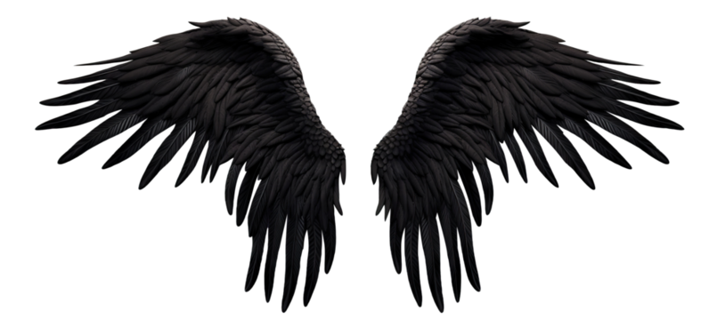 Pair of black wings, cut out