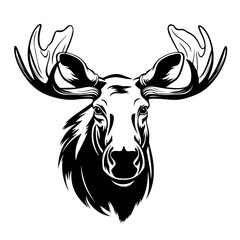 Bull Moose - obrazy, fototapety, plakaty