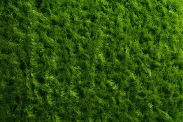 Afwasbaar Fotobehang Gras Artificial grass background, top view