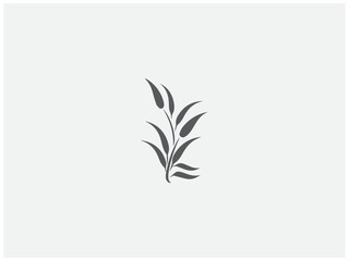 premium rice plant logo vector, vector and illustration,