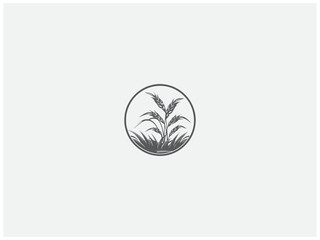 premium rice plant logo vector, vector and illustration,