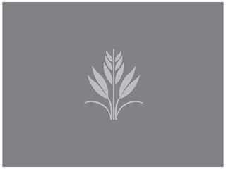 premium rice plant logo vector, vector and illustration,