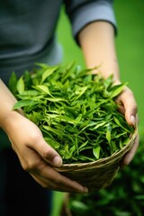 farmer shows fresh green tea leaves in hand and tea plantation bokeh background. AI Generated