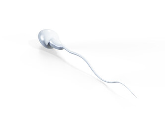 Male sperm cells floating to ovule in fallopian tube. 3D render - obrazy, fototapety, plakaty