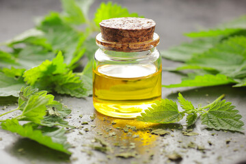Nettle leaf oil with fresh green leaves on black rustic table, closeup, copy space, natural medicine, diet food and drink, homeoparhy, hair and skin healthy care, detox and diet healthy food concept