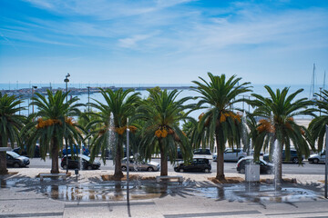 Fototapeta na wymiar Mighty palm trees on a coastal road in Manfredonia, Italy, blue cloudy sky