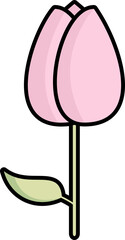 Tulip flower illustration