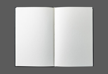 Blank Book: Minimalist Elegance for Endless Possibilities