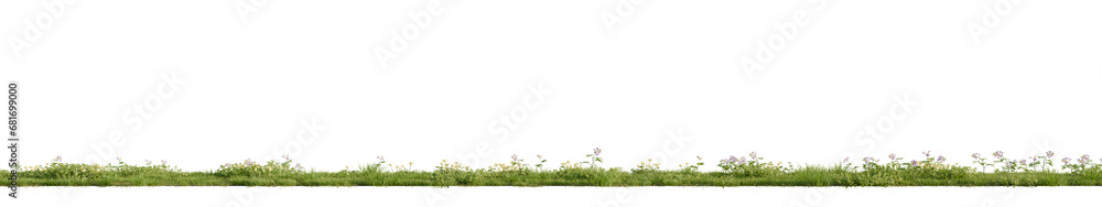 Wall mural Green grass isolated on transparent background. 3D render.	