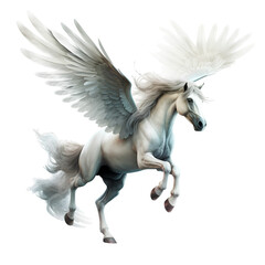 Obraz na płótnie Canvas Pegasus horse on transparent background PNG, mythical animal concept.