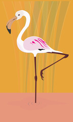 Pink flamingo. Cute and beautiful flat pink flamingo, summer design for print, kids drawing