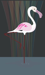 Pink flamingo. Cute and beautiful flat pink flamingo, summer design for print, kids drawing