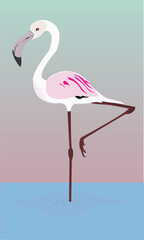 Pink flamingo. Cute and beautiful flat pink flamingo, summer design for print, kids drawing