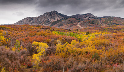 autumn landscape in the mountains