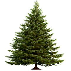 Christmas Tree, PNG