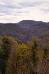 Colorful trees on hills by Drachenfels castle ruins on a spring day in Konigswinter, Germany.