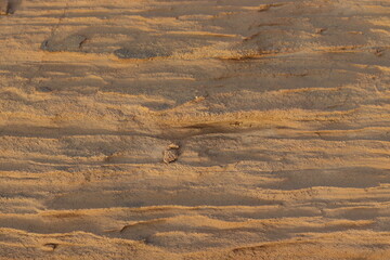 Erosion factors in the desert