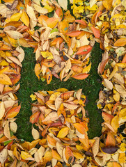 The letter H formed from colorful autumn leaves on grass
