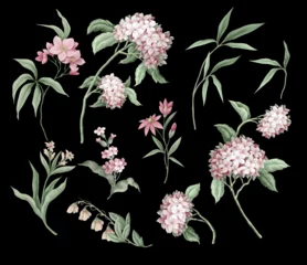 Poster Pink wild flowers isolated. Vector. © Yumeee