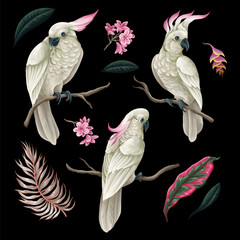 Cockatoo, tropical leaves and flowers isolated. Vector. © Yumeee