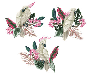 Cockatoo, tropical leaves and flowers isolated. Vector.