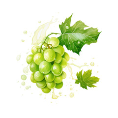 fruit juice color green simuscus grape