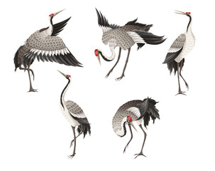 Dancing crenies in different poses isolated. Vector.