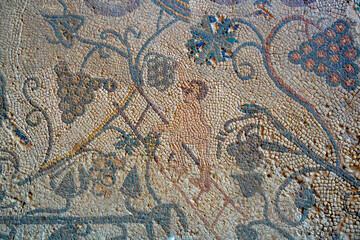Archaeological remains of a Roman mosaic of a naked man riding a ladder harvesting grapes to make wine, with vines as decoration. Mérida archaeological complex of the Casa del Mitreo in Mérida, Spain.