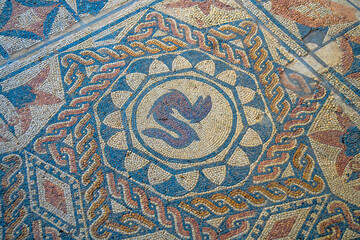 Detail of Roman colored mosaic with a chimeric figure of a snake or winged fish framed in a star with geometric pattern on the Casa Romana Mitreo floor of the Archaeological Complex of Mérida, Spain.
