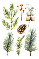 A set of watercolor Christmas trees and pine cones. Perfect for holiday-themed designs and decorations.