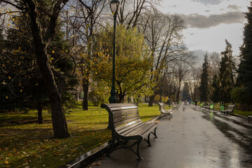 Kharkiv, Ukraine. - November 12, 2023.: The sun shines brightly in the Shevchenko garden after the rain