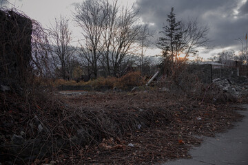 Borodyanka, Ukraine. - November 18, 2023.: sunset in the park among the bushes