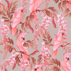 Seamless pattern with acacia flowers and parrots. Vector. - obrazy, fototapety, plakaty