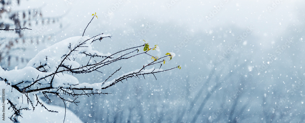 Poster a tree branch covered with a snow cap on a blurred background during a snowfall