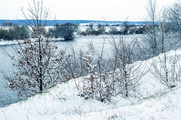 Winter landscape with snow-covered trees on the river bank, panorama