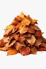 A pile of leaves stacked on top of each other. Can be used to depict the changing seasons or outdoor activities