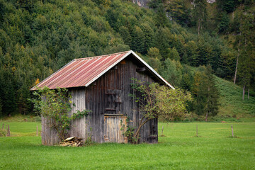 Wooden cabin on green grass meadow in front of fir trees forest