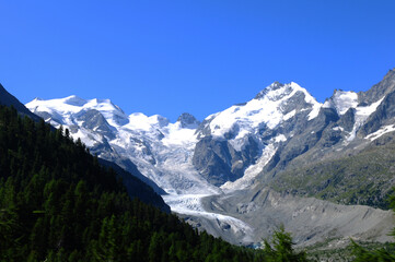 Swiss Alps: The Morteratsch Glacier in the swiss alps is melting due to the global climate change