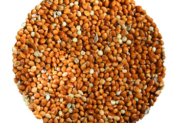 Dry millet grains (Panicum) on white background, isolated. Ingredient for making dietary dishes. Culinary background texture.