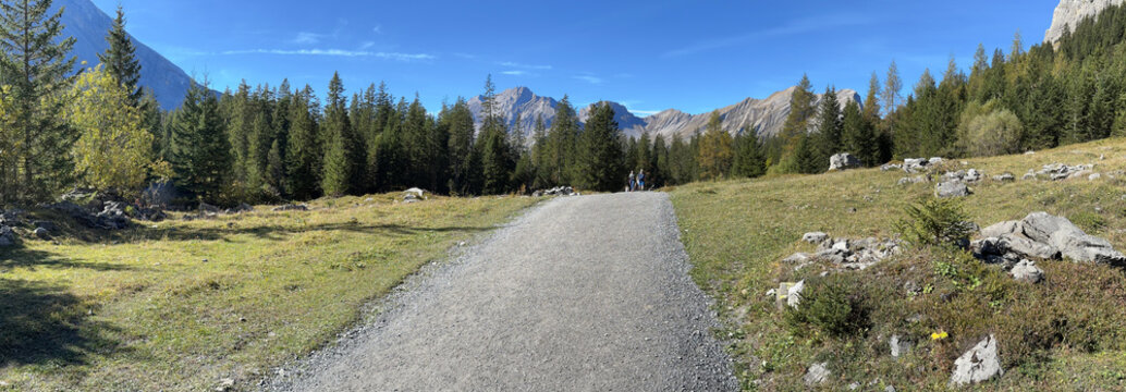 Road in the forest near Oeschinen