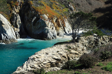 Rocky shore, lonely tree and blue lagoon