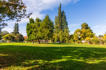 Fototapeta na wymiar Beautiful landscape with lawn and trees in the small neighborhood park in Palo Alto, California
