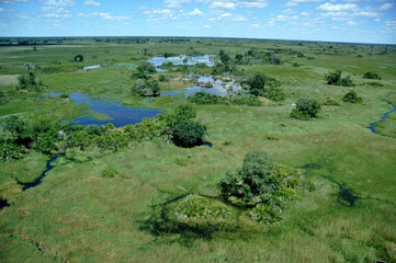 Fototapeta na wymiar Botswana: Garden Eden in the Kalahari Desert: The Okavango Delta is facing the biggest floods since 46 years.