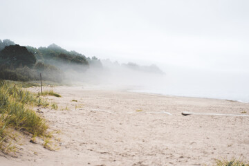 Tranquil Beach Landscape with Foggy Shoreline and Natural Environment
