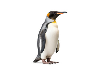 Penguin Studio Shot Isolated on Clear White Background, Generative AI