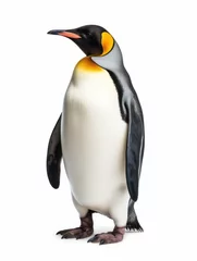 Poster Penguin Studio Shot Isolated on Clear White Background, Generative AI © Vig