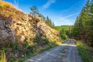 Landscape Der Harz national park, Germany.