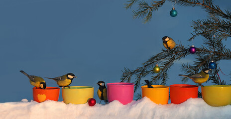 Funny tits at the feeders near the Christmas tree for a greeting card for the New Year.